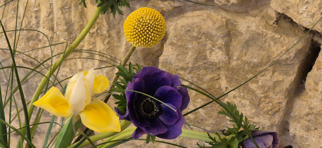 Paartherapie-Praxis in Berlin Mitte Innenansicht mit Blumen